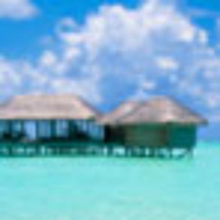 Mark's and Spencer's Cafe